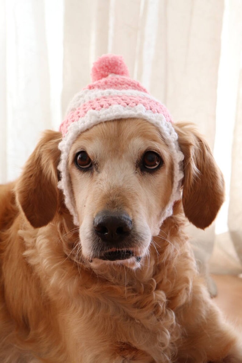 Dog Hat Dog Beanie Winter Hat for Dogs Large Breed Dog Hat Etsy