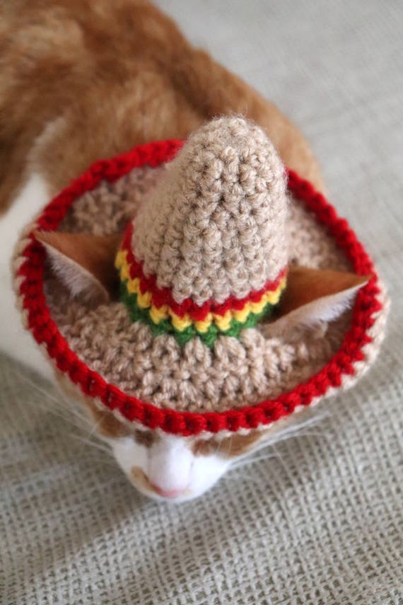 Cat Sombrero Sombrero for Cats Sombrero 