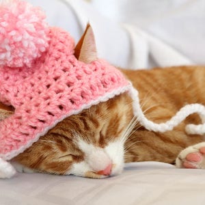 Crochet Cat Hat Pattern, Beginner Friendly Crochet Pattern for Cats, Cat Beanie Crochet Pattern, Downloadable Pattern Crochet Cat Accessory image 5