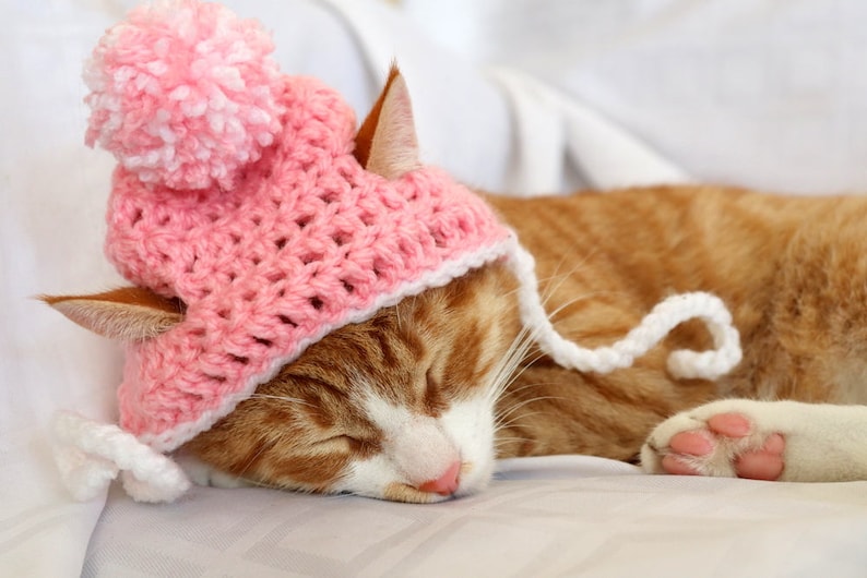 Crochet Cat Hat Pattern, Beginner Friendly Crochet Pattern for Cats, Cat Beanie Crochet Pattern, Downloadable Pattern Crochet Cat Accessory image 5