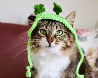 Shamrock ★ Cat　オーダー Amazon.com : Covido Welcome St Patricks Day Black White Cat