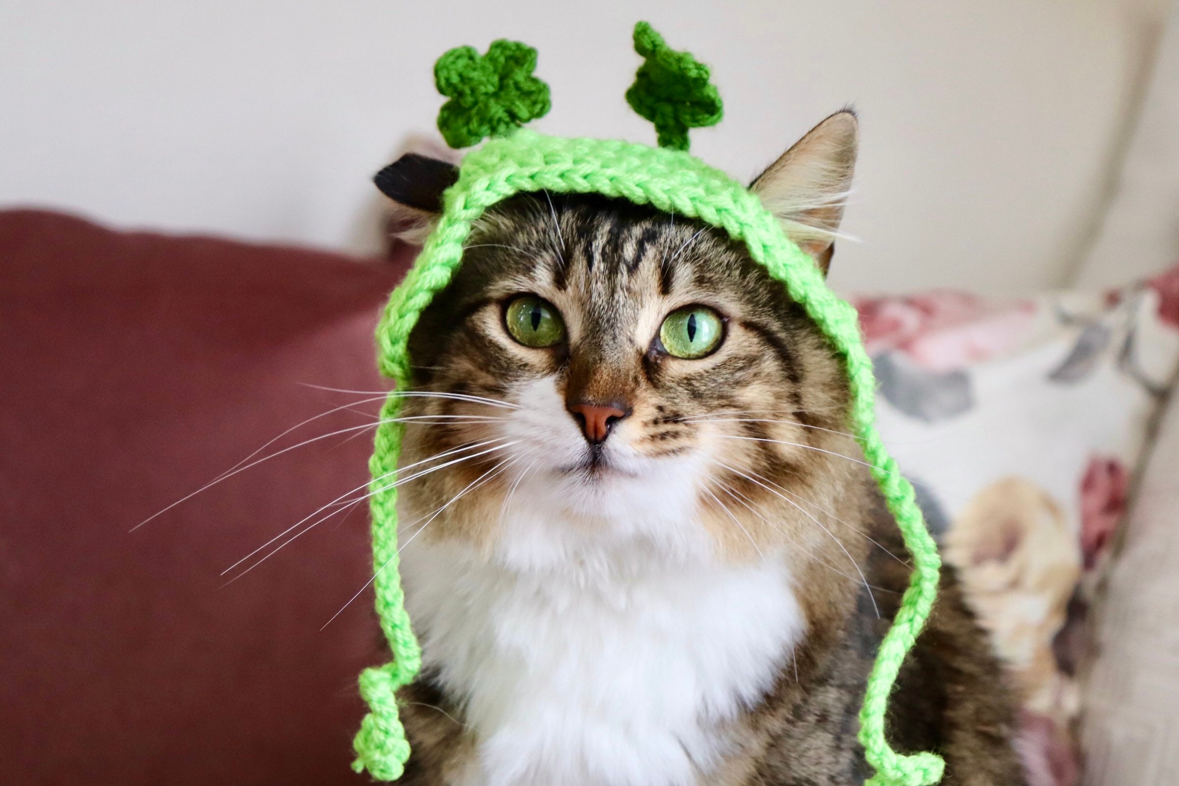 Shamrock Headband for Cats, St. Patrick's Day Cat Accessories, Cat