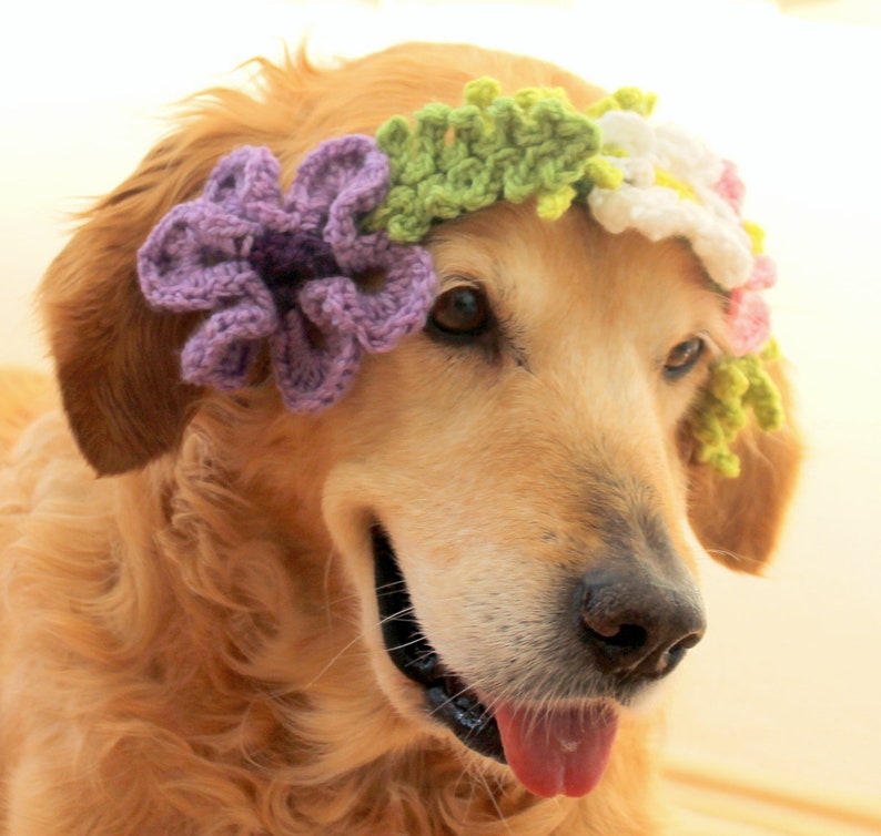 Flower Crown / Collar for Dogs Pet Wedding Dog Flower Girl Etsy