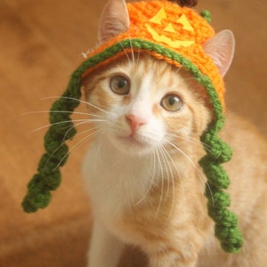 Puede incluir: Un gato jengibre y blanco con un gorro de calabaza de ganchillo con hilo verde y naranja. El gorro tiene una cara de calabaza en la parte delantera.