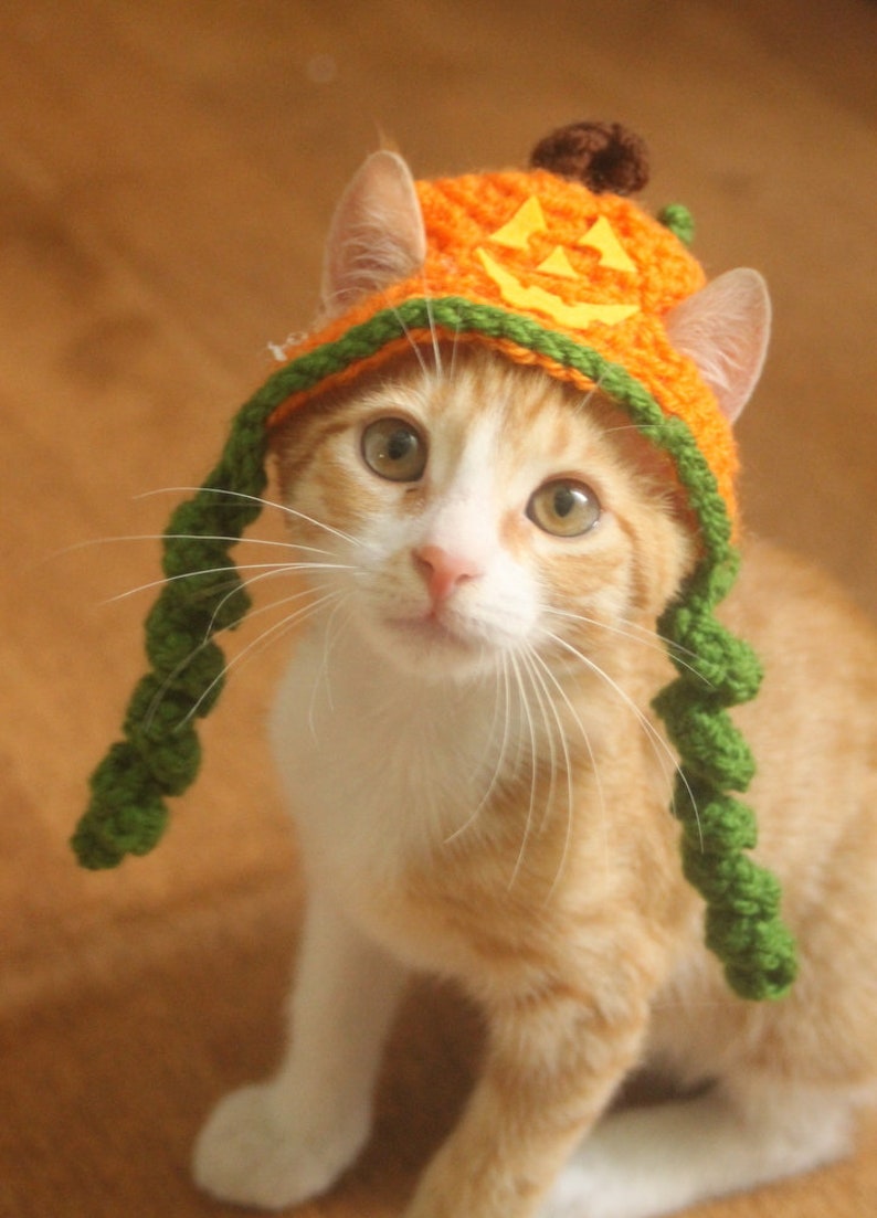 Puede incluir: Un gato jengibre y blanco con un gorro de calabaza de ganchillo con hilo verde y naranja. El gorro tiene una cara de calabaza en la parte delantera.