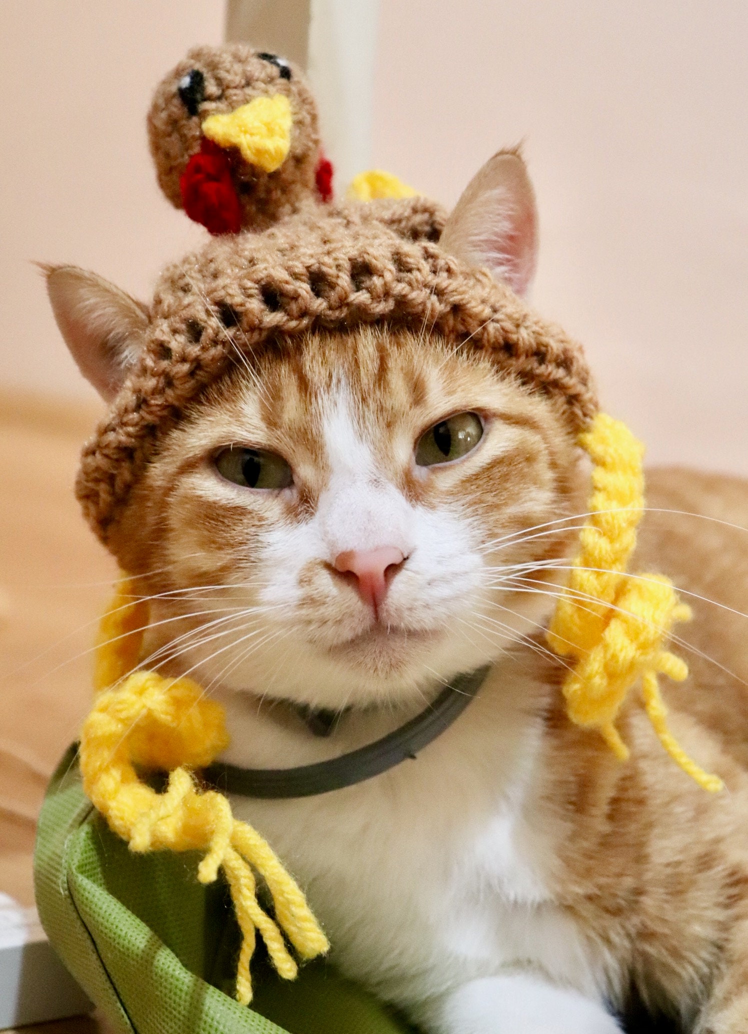 Thanksgiving Turkey Hat for Cats Funny Turkey Cat Hat With -  Denmark