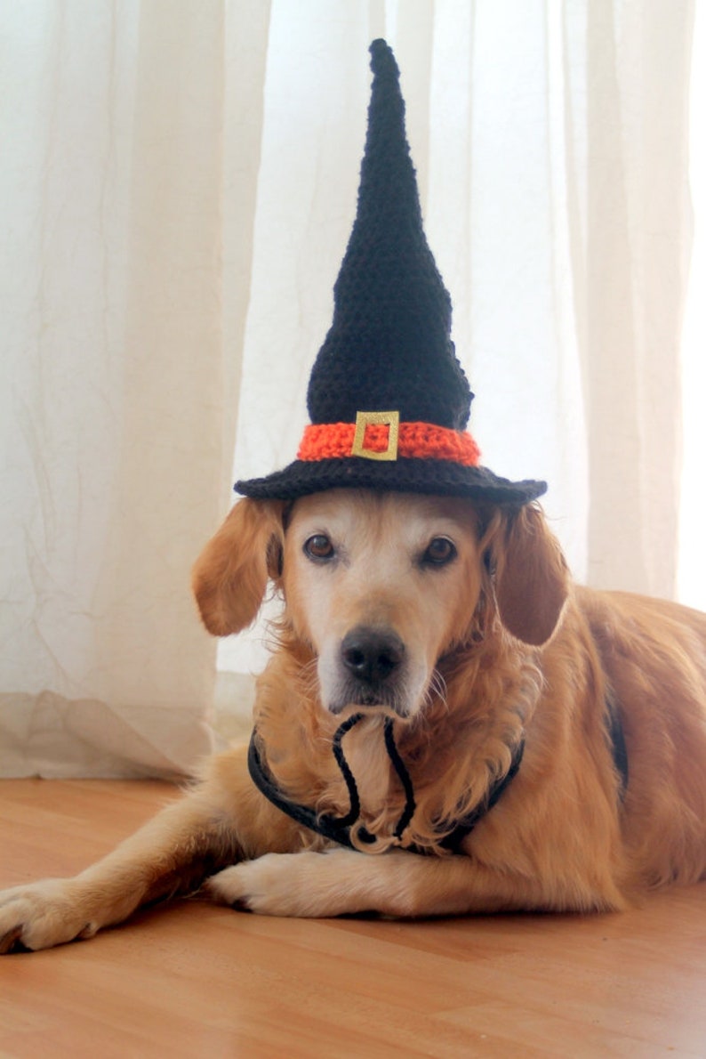 Crochet Pattern: Witch Hat for Large Dogs, Crochet Witch Pet Costume Hat, Witch Dog Hat PDF Pattern for Digital Download image 5