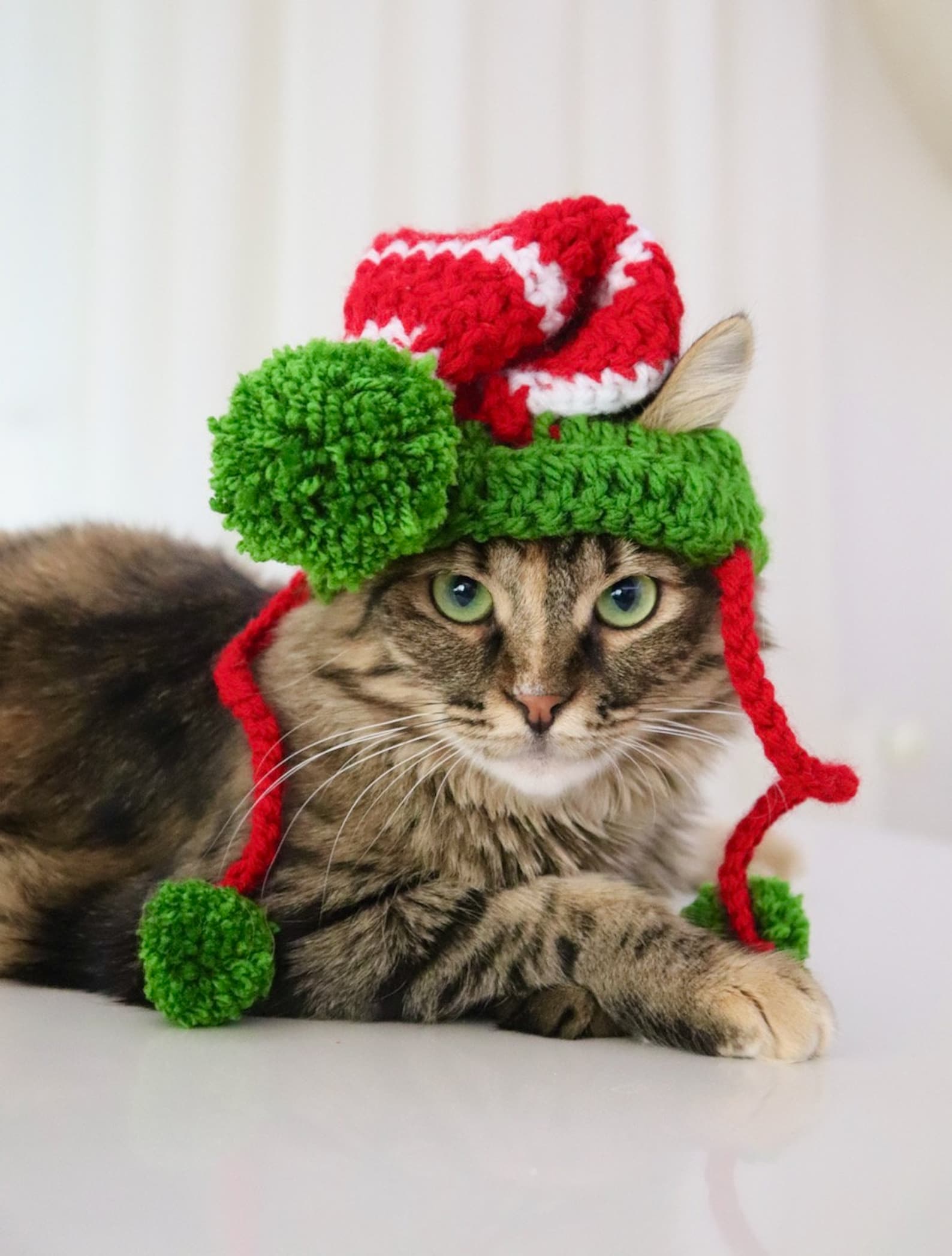 Elf Hat for Cats Cat Elf Hat Holiday Cat Hat Christmas Hat - Etsy