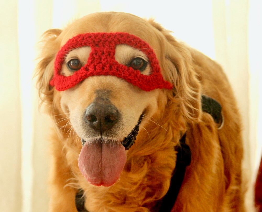 Hero Dog Costume Etsy Canada