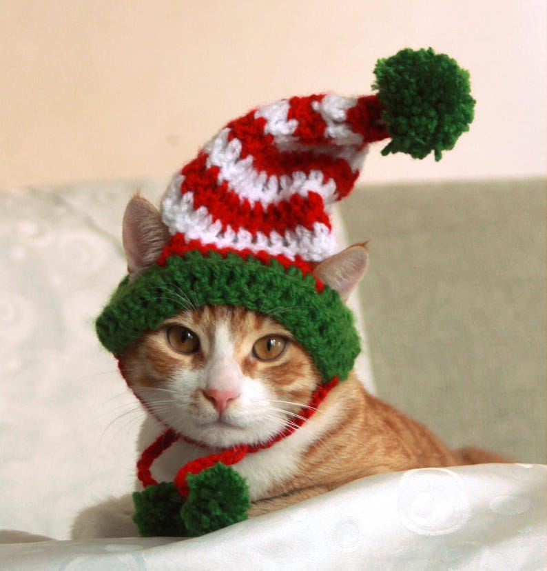 Elf Hat for Cats Cat Elf Hat Holiday Cat Hat Christmas Hat Etsy