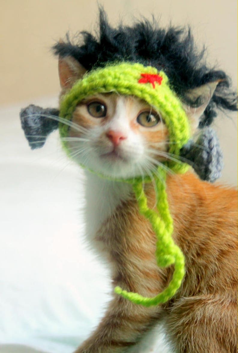 Frankenstein Cat Hat, Frankenstein Hat for Pets, Halloween Cat Hat, Halloween Hat for Cats, Cat Monster Hat, Frankenstein Hat for Small Dogs Kitten - Small Cat