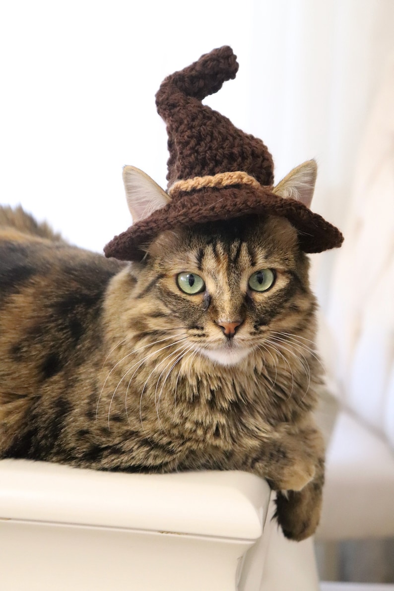 May include: A brown and tan knitted witch hat sits on the head of a brown tabby cat. The cat is lying on a white surface and looking directly at the camera.