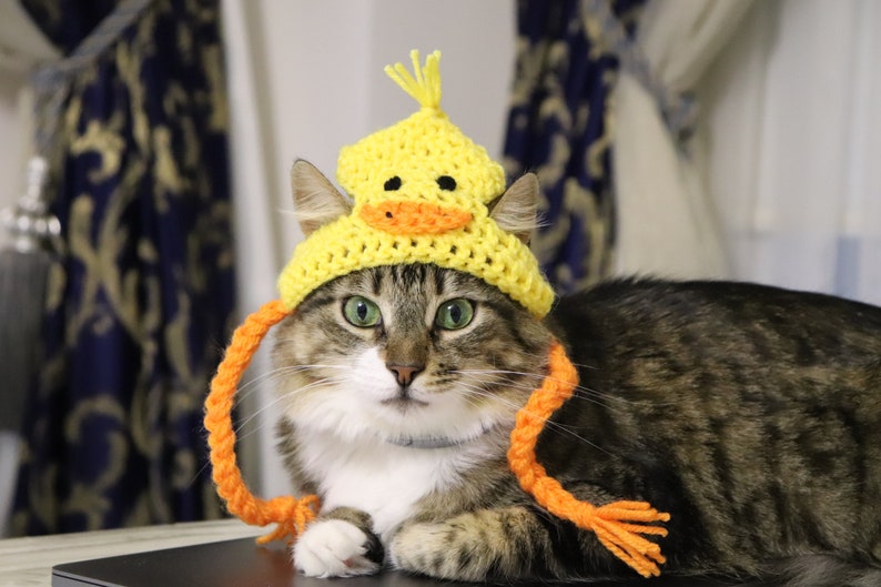 Duck Hat for Cats, Cute Yellow Ducky Cat Hat with Ear Holes, Easy Cat Halloween Costume Ideas, Funny Gift for Cat Lover, Crochet Pet Hats image 5