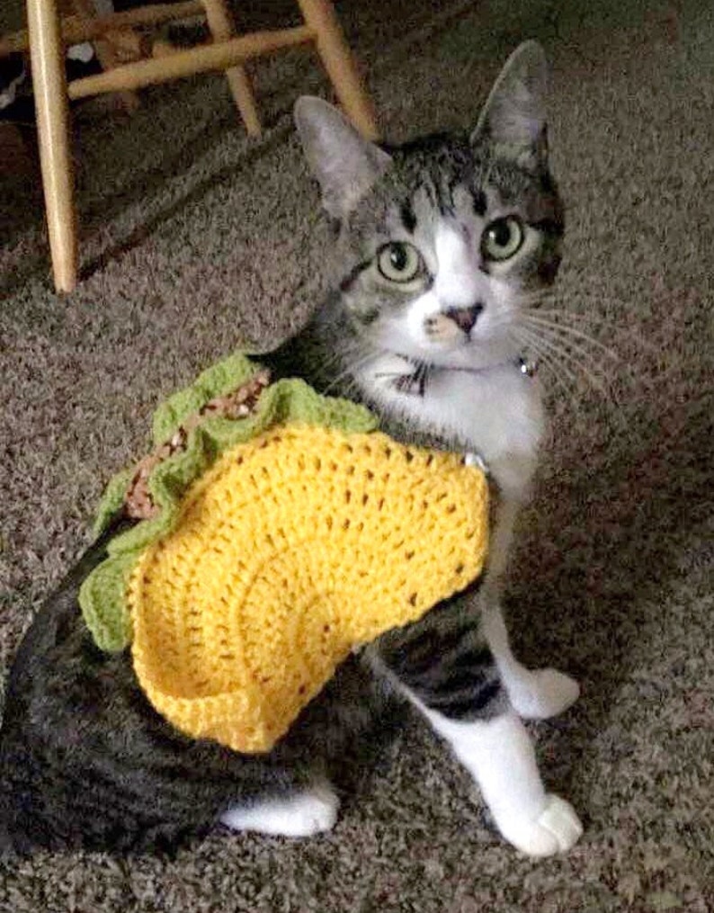 Taco Pet Costume Taco Cat Costume Taco Costume for Dogs Etsy