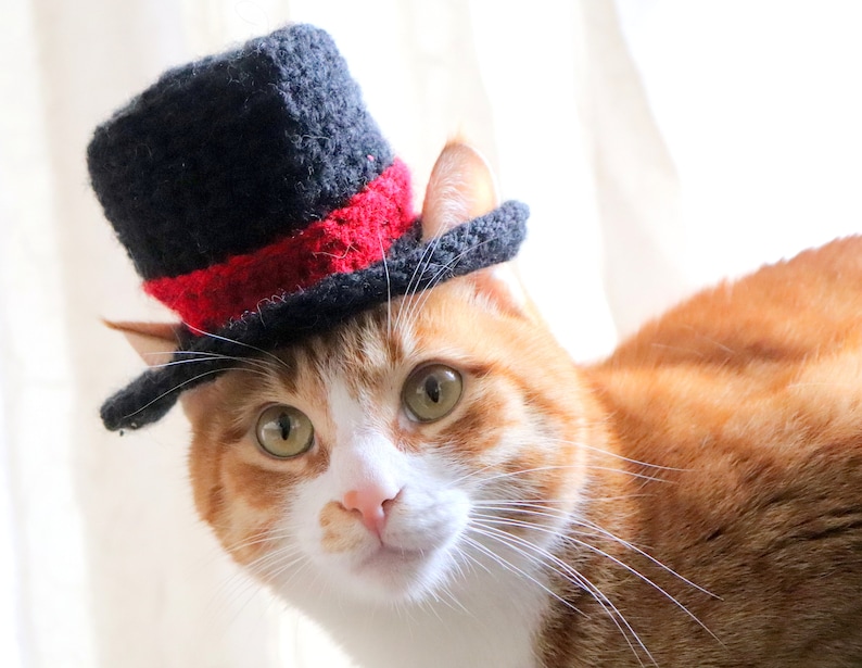 Top Hat for Cats Cat Wedding Apparel Cat Formal Wear Feline Etsy
