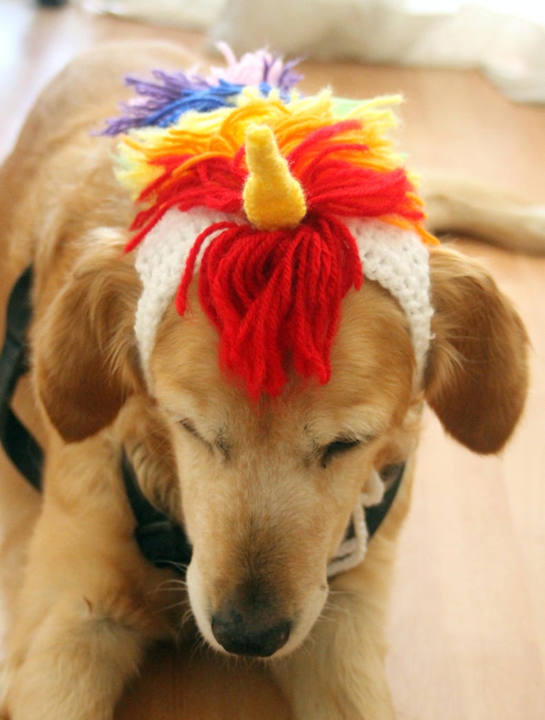 Unicorn Costume for Dogs Unicorn Mane and Horn for Large Etsy