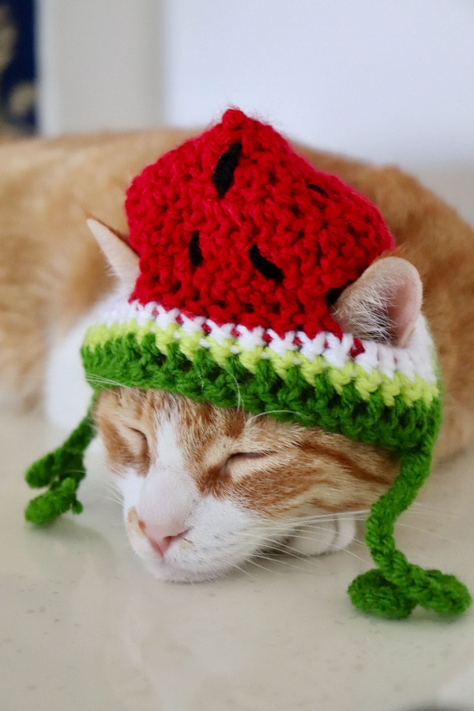 Watermelon Hat for Cats Crochet Watermelon Hat for Cats and Etsy