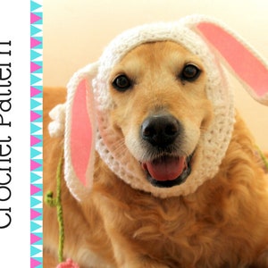 Crochet Pattern: bunny dog snood, PDF instructions for crochet dog snood with rabbit ears, crochet accessory / costume for large dogs