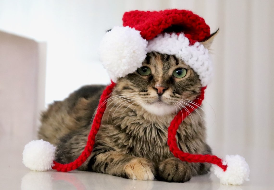 Santa Hat for Cats Cat Santa Hat Holiday Cat Hat Christmas Etsy Christmas Hat For Cats