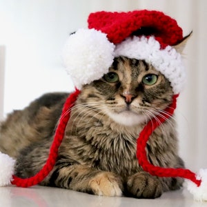 Crochet Santa hat with ear holes designed for cats, kittens, and small dogs. Hat is red with a white brim and pom poms on the top and on the chin straps.