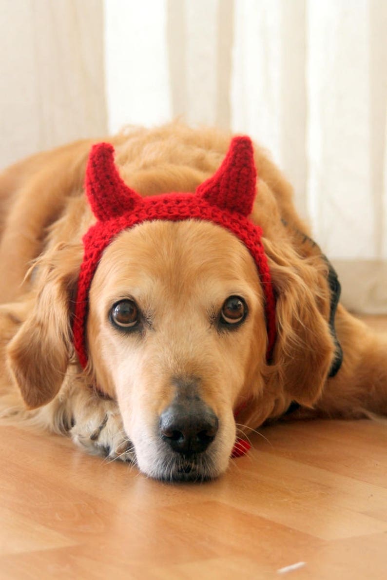 Devil Dog Costume, Devil Horns for Large Breed Dogs, Red Devil Dog Hat, Devil Halloween Dog Costume, Cute Dog Costume, Funny Dog Costume image 3