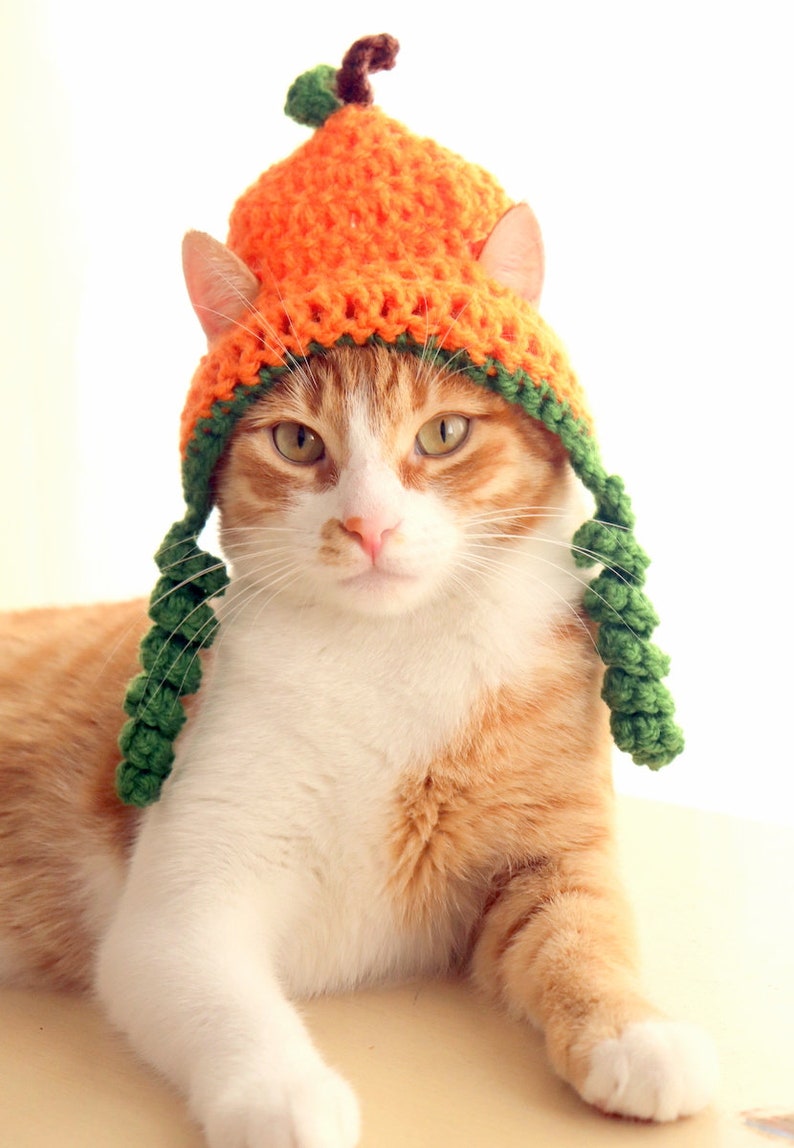 Crochet Pumpkin Hat Pattern for Cats Extra Small Dogs, Jackolantern Cat Hat Crochet Pattern, Halloween / Fall Crochet Pattern for Pets image 9