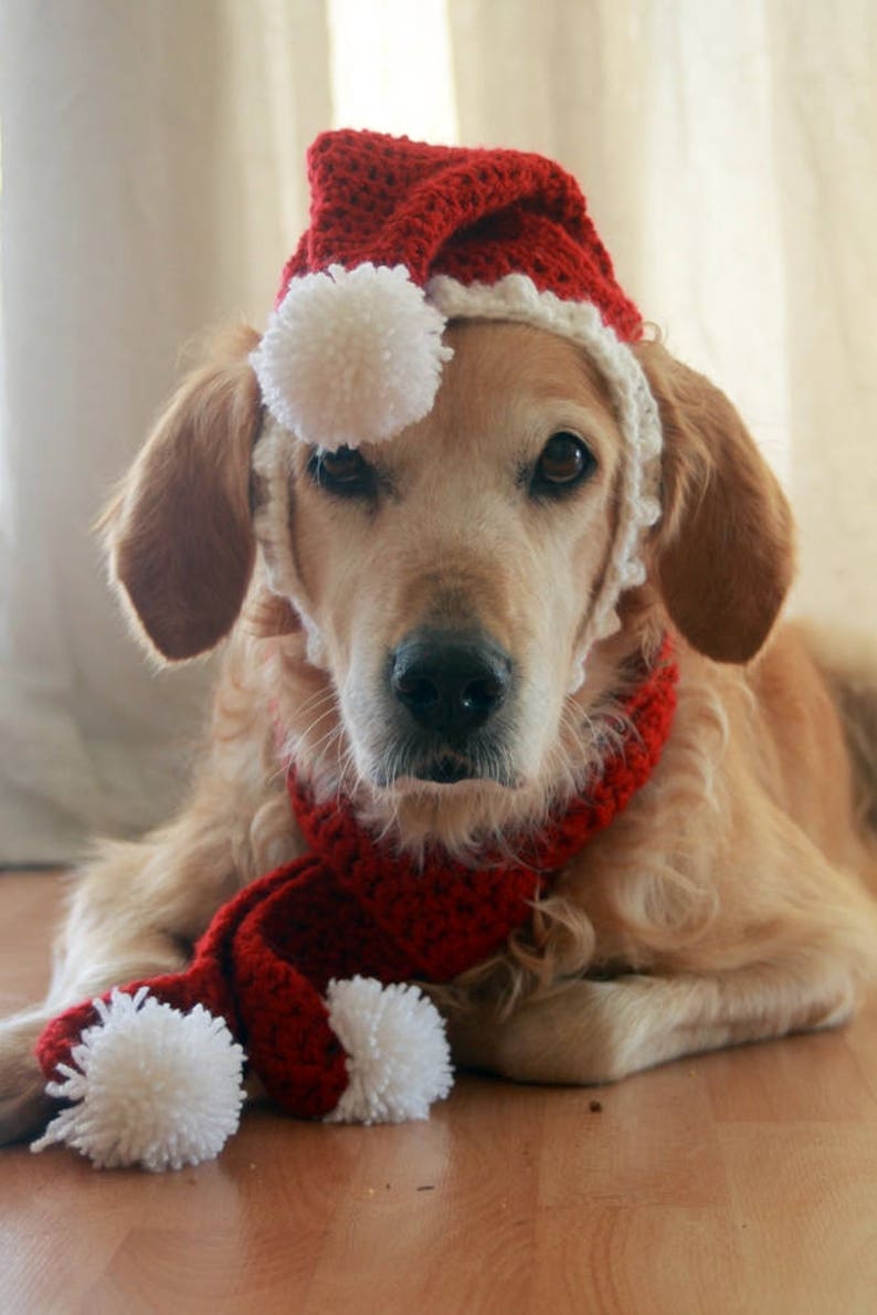 Santa Hat for Dogs, Dog Santa Hat, Holiday Dog Hat, Christmas Hat for Dogs, Large Breed Dog Hat, Christmas Dog Hat, Santa Dog Hat image 9