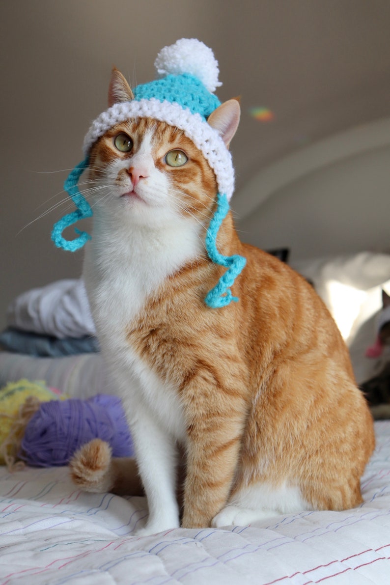 Hut für Katzen, 2 Farbe häkeln Pom Pom Hut für Katzen und Hunde kleiner Rassen, Feline Accessoires für den Winter, süße Katze Foto Requisite Bild 8