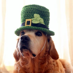 St. Patrick's Day Dog Hat, Leprechaun Hat for Dogs, Leprechaun Dog Costume, St. Patrick's Day Dog Costume, Bearded Dog Hat, image 9