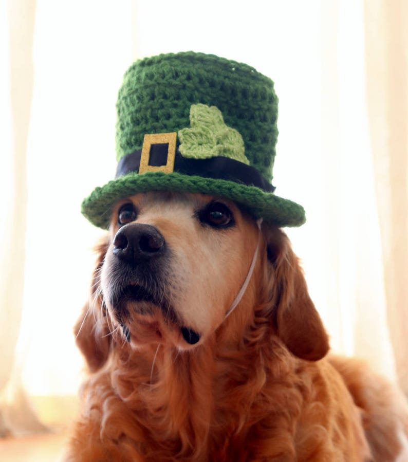 St. Patrick's Day Dog Hat, Leprechaun Hat for Dogs, Leprechaun Dog Costume, St. Patrick's Day Dog Costume, Bearded Dog Hat, image 9