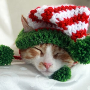 cat elf hat
