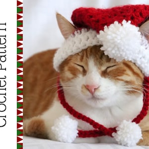 May include: A white and orange cat wearing a red and white crocheted Santa hat with a white pom-pom on top. The cat is also wearing a red crocheted scarf with white pom-poms on the ends.