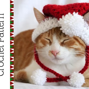 Santa Cat Hat Crochet Pattern, Fun and Festive Christmas Crochet Pattern for Cats and Kittens, Quick and Beginner Friendly