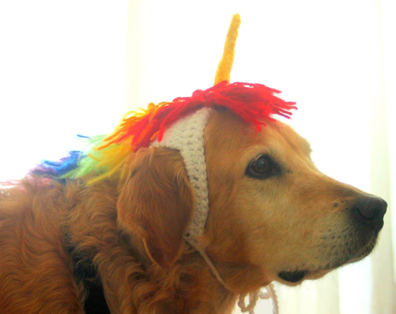 Unicorn Costume for Dogs, Unicorn Mane and Horn for Large Breed Dogs, Halloween Costumes for Pets, Unicorn Dog Hat, Funny Dog Accessories image 7