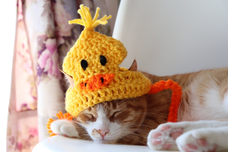 Duck Hat for Cats, Cute Yellow Ducky Cat Hat with Ear Holes, Easy Cat Halloween Costume Ideas, Funny Gift for Cat Lover, Crochet Pet Hats image 9