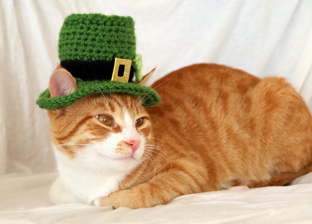 Leprechaun Cat Hat St. Patrick's Day Hat for Cats St 