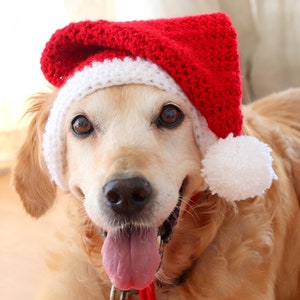 Santa dog hat with ear holes, Santa hat for large dogs Golden, Lab, Pitbull, Husky, Boxer, Christmas dog accessory image 6