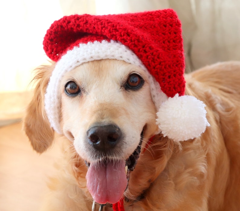 Santa dog hat with ear holes, Santa hat for large dogs Golden, Lab, Pitbull, Husky, Boxer, Christmas dog accessory image 6