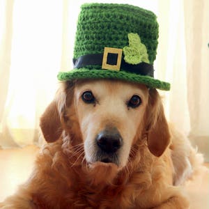 St. Patrick's Day Dog Hat, Leprechaun Hat for Dogs, Leprechaun Dog Costume, St. Patrick's Day Dog Costume, Bearded Dog Hat, image 7