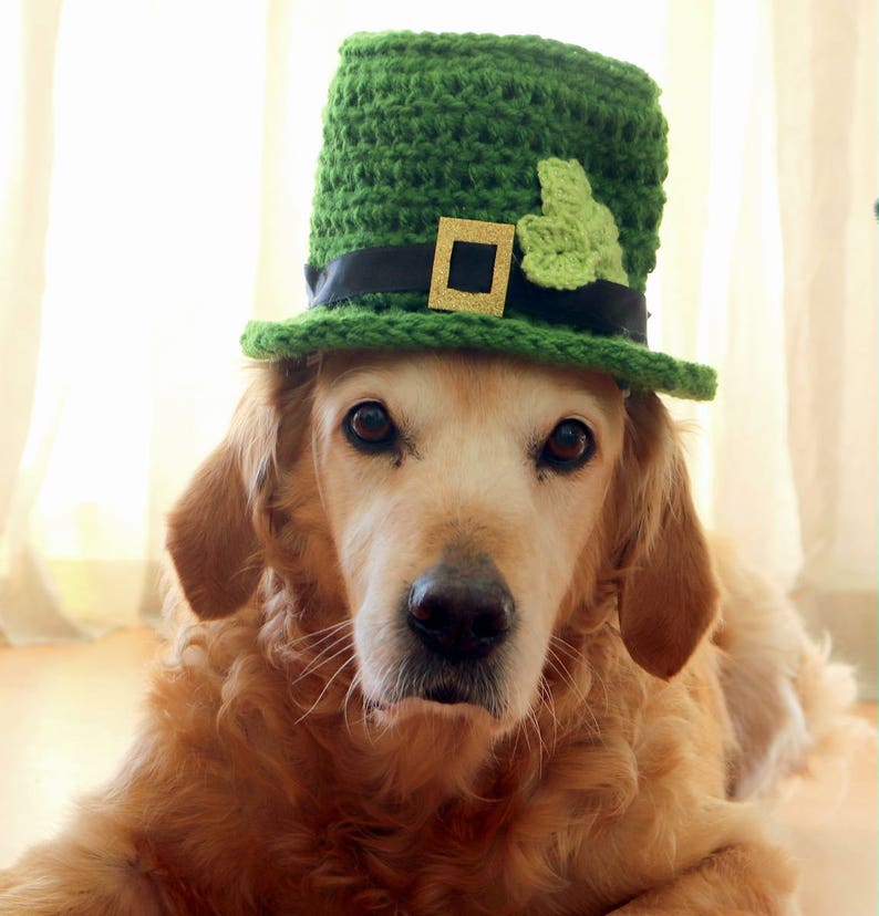 St. Patrick's Day Dog Hat, Leprechaun Hat for Dogs, Leprechaun Dog Costume, St. Patrick's Day Dog Costume, Bearded Dog Hat, image 7