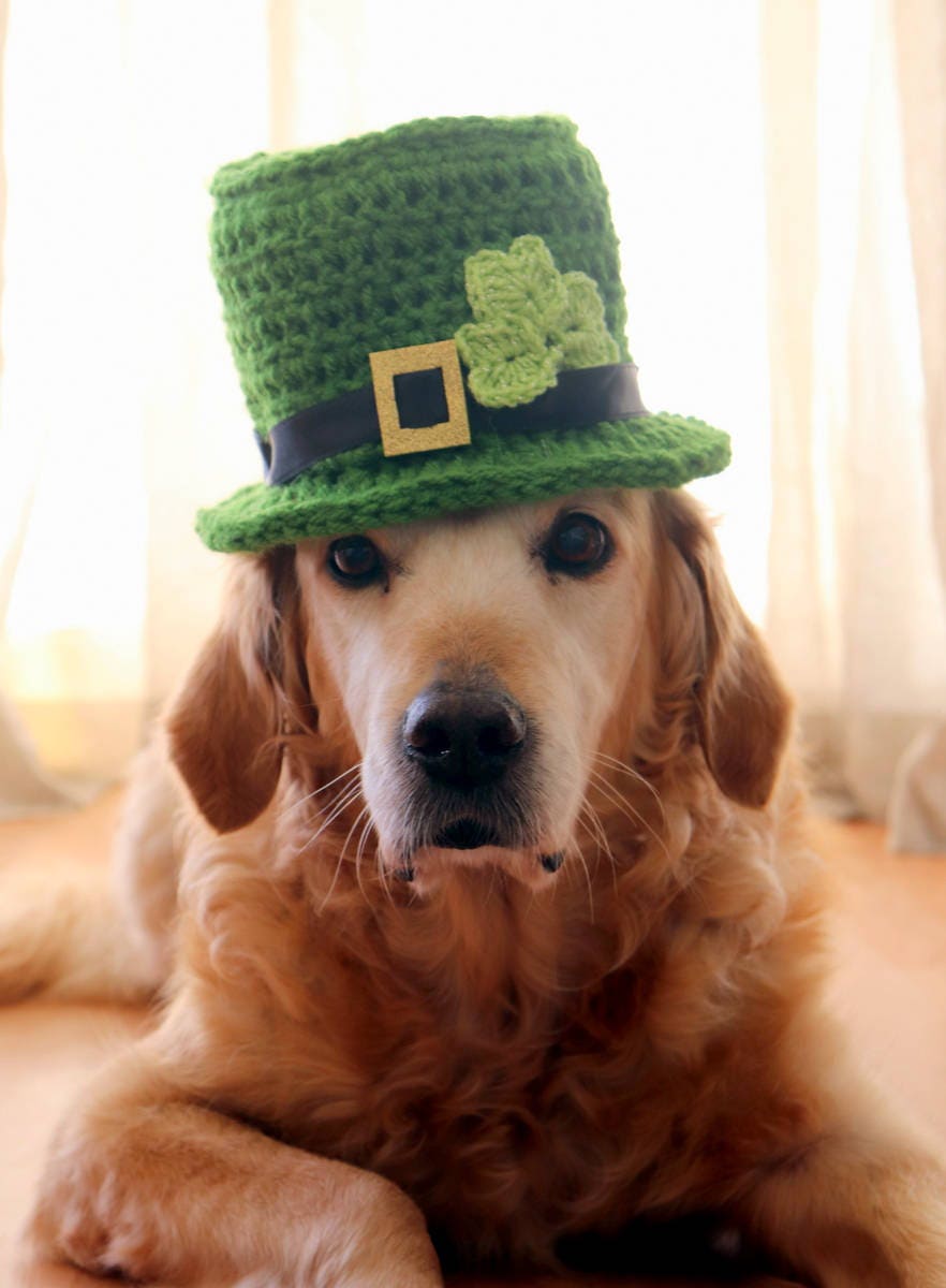 St. Patrick display picture 1