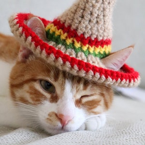 Katze Sombrero Häkelanleitung, Häkelanleitung für Haustier Größe Sombrero Hut mit Ohrlöchern, Cinco De Mayo Häkelanleitung für Haustiere Bild 8