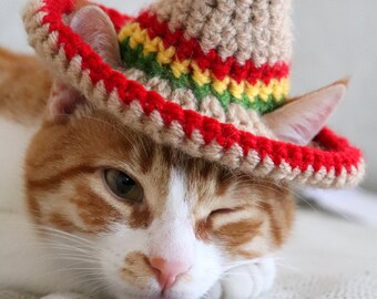 Cat Sombrero Crochet Pattern Crochet 