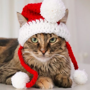 Santa Hat for Cats, Cat Santa Hat, Holiday Cat Hat, Christmas Hat for Cats and Kittens, Christmas Cat Hat, Santa Cat Hat image 5