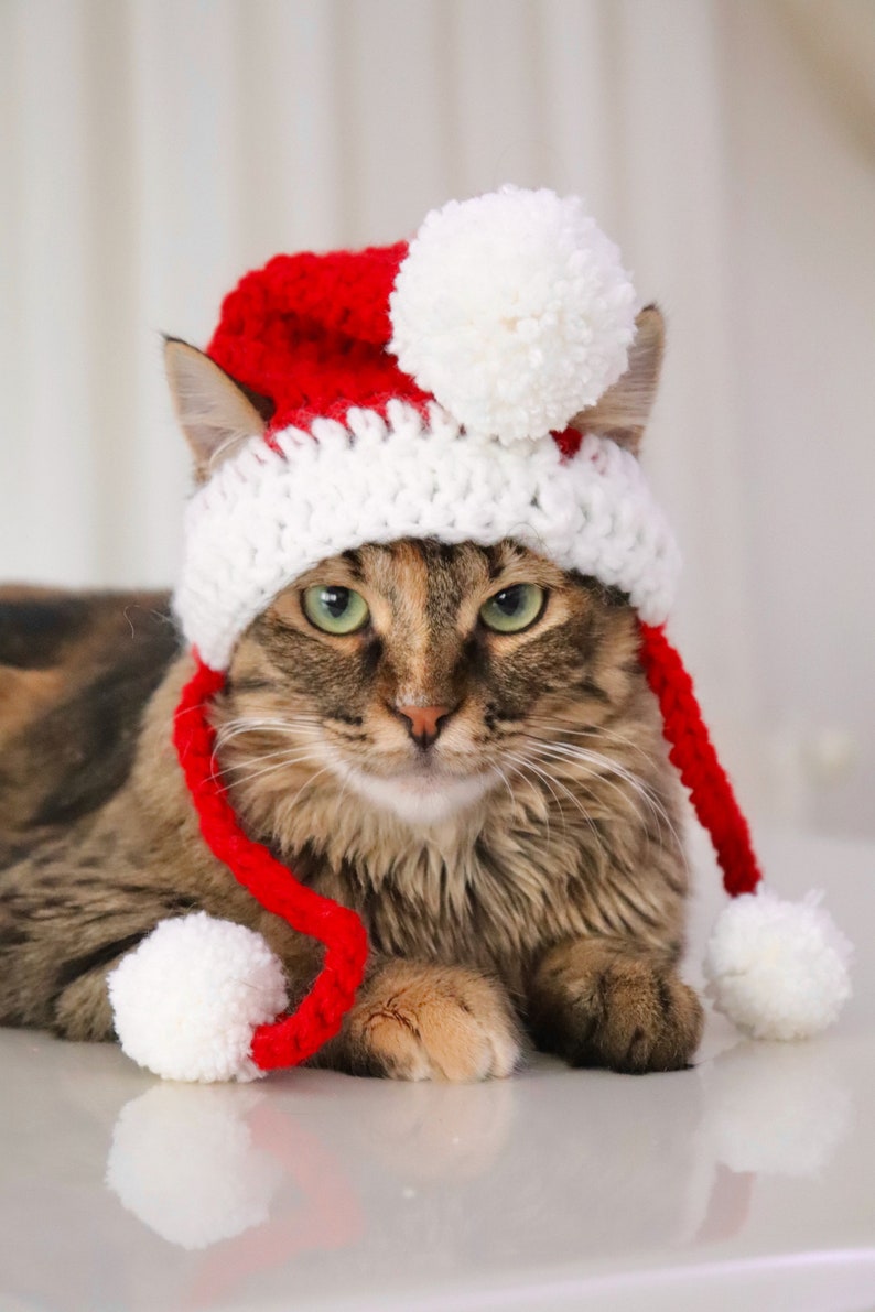 Santa Hat for Cats, Cat Santa Hat, Holiday Cat Hat, Christmas Hat for Cats and Kittens, Christmas Cat Hat, Santa Cat Hat image 5