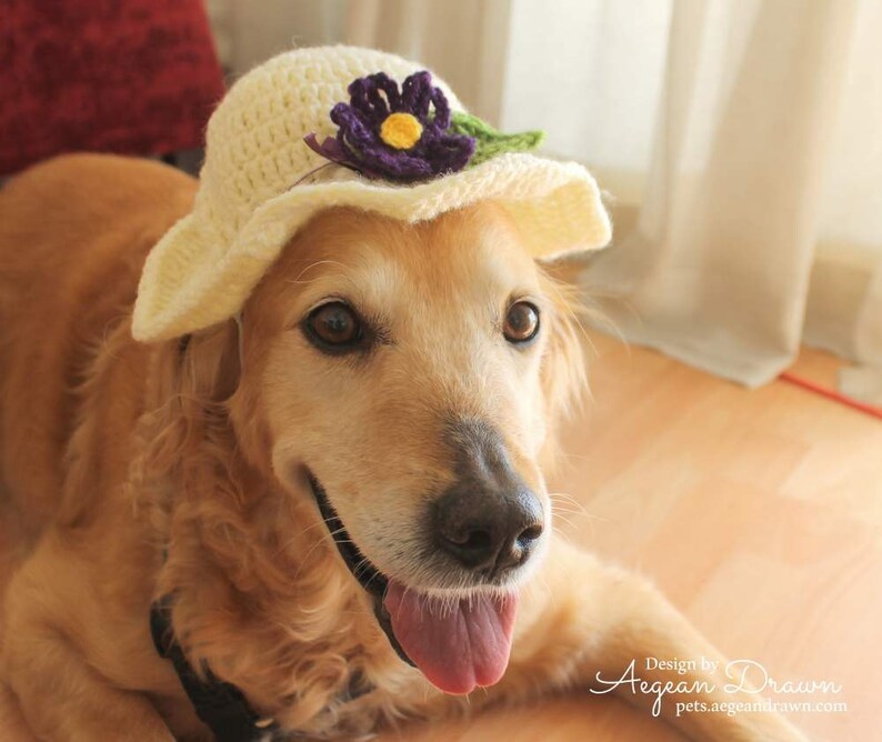 Summer Hat for Dogs Sun Hat Dog Hat Summer Dog Accessories Etsy