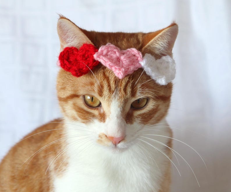 Heart Headband for Cats, Valentine's Day Cat Accessories, Cat Photo Prop for Valentines Day, Cute Cat Accessories, Cat Valentines Apparel immagine 4