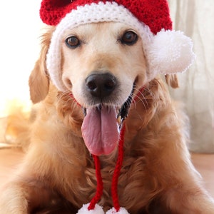 Santa dog hat with ear holes, Santa hat for large dogs Golden, Lab, Pitbull, Husky, Boxer, Christmas dog accessory image 4
