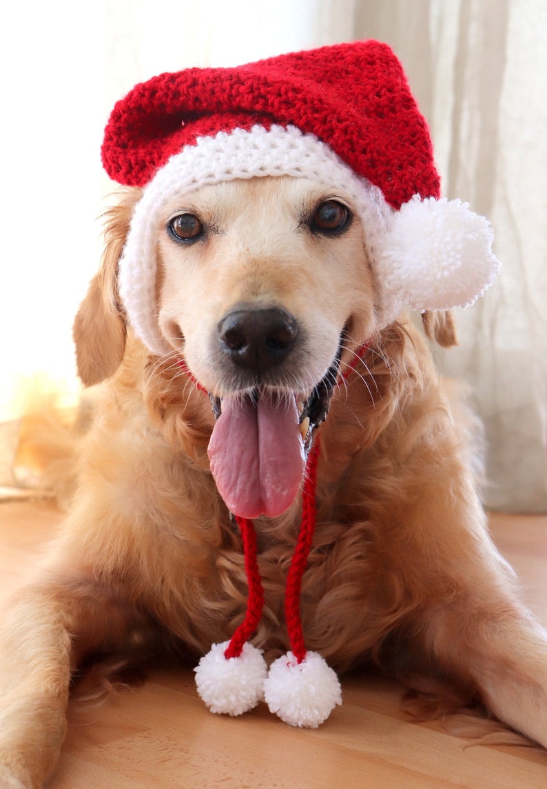 Santa dog hat with ear holes, Santa hat for large dogs Golden, Lab, Pitbull, Husky, Boxer, Christmas dog accessory image 4