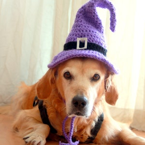 Crochet Pattern: Witch Hat for Large Dogs, Crochet Witch Pet Costume Hat, Witch Dog Hat PDF Pattern for Digital Download image 8